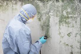 Best Air Quality Testing for Mold Spores  in Center Point, AL